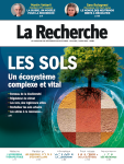 Le chlordécone, une présence persistante vignette