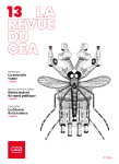 13 - Juillet 2026 - Bulletin N°13 vignette