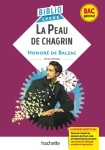La peau de chagrin vignette